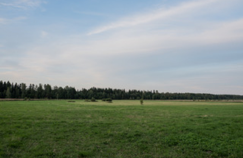 New homes threaten to destroy Cottenham's greenbelt land